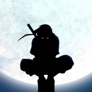 Meet your Posher, Akareynv